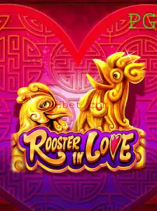 Descubra o emocionante mundo de RoosterInLove